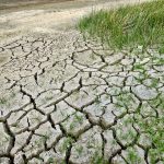 La lluvia alivia la situación de sequía en el sureste español